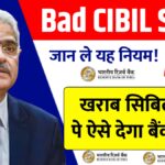 CIBIL Score Solution